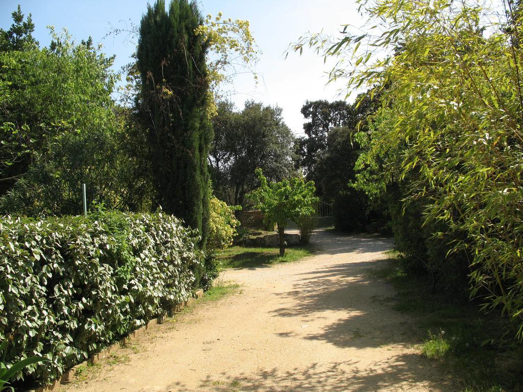 Villa Mas Blauvac Avec Piscine, Entre Uzes Pont Du Gard Vers-Pont-du-Gard Zimmer foto