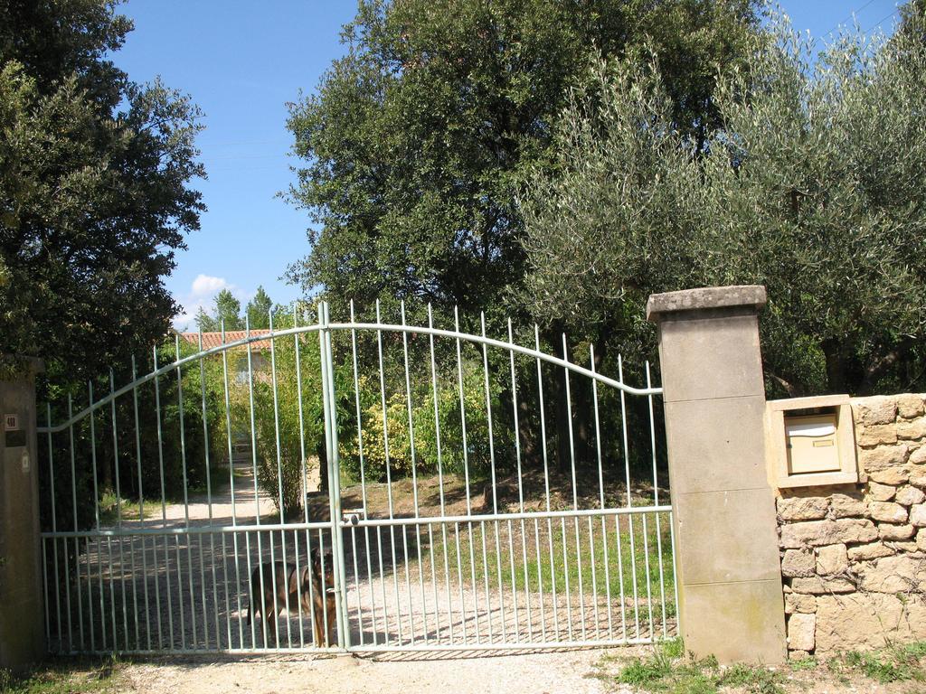 Villa Mas Blauvac Avec Piscine, Entre Uzes Pont Du Gard Vers-Pont-du-Gard Zimmer foto